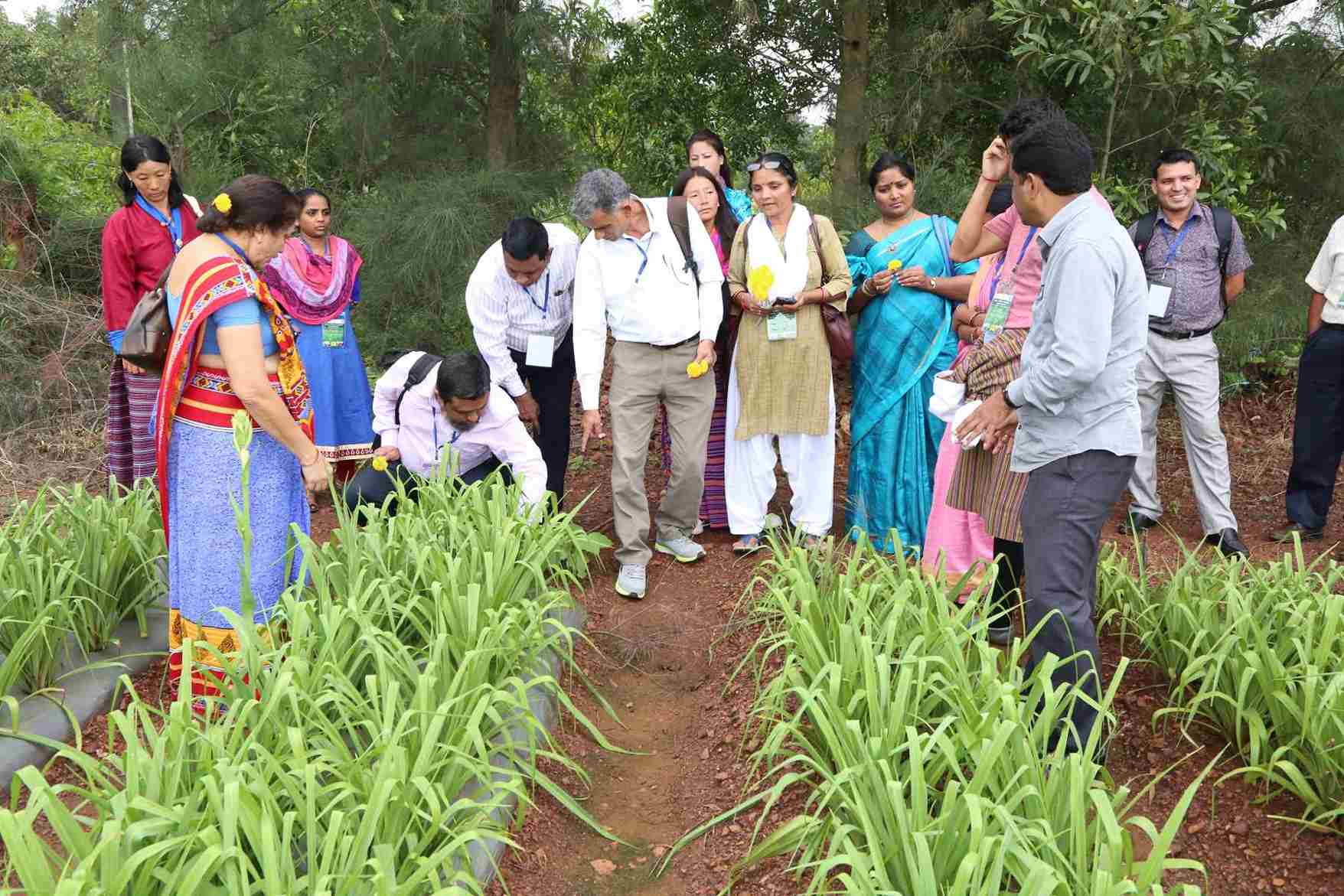 Farmer training